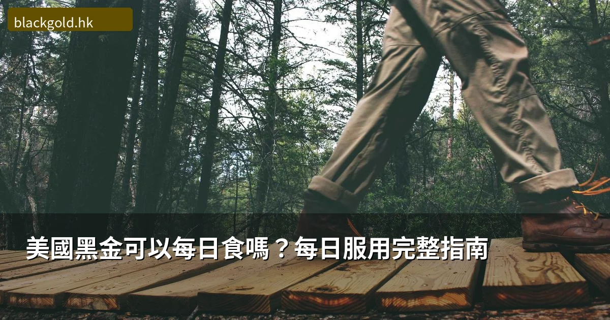 美國黑金可以每日食嗎